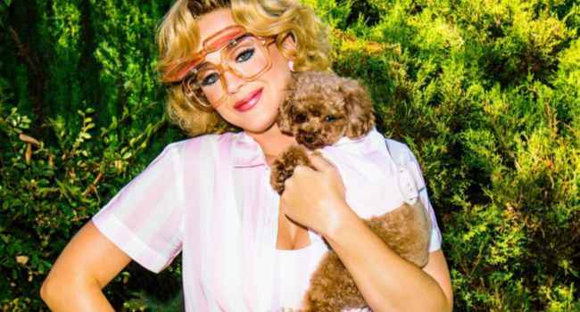 nugget katy perry dog